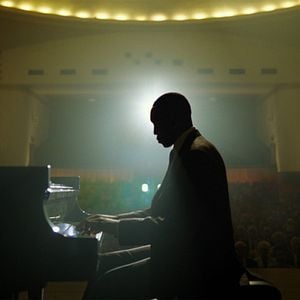 Fotoğraf Yeşil Rehber