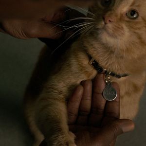 Fotoğraf Captain Marvel