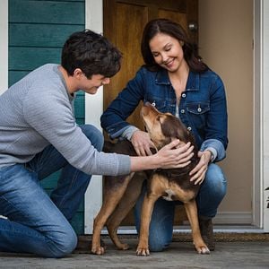 Fotoğraf Sadık Dostum