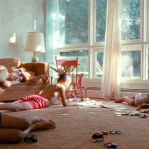 Fotoğraf We The Animals