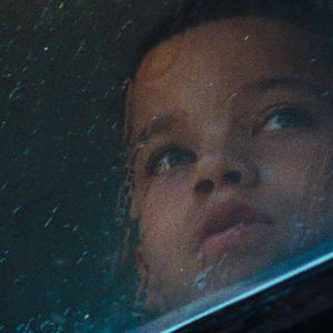 Fotoğraf We The Animals