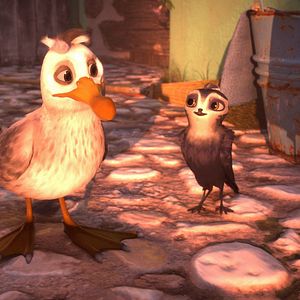 Fotoğraf Hızlı ve Tüylü