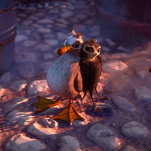 Fotoğraf Hızlı ve Tüylü