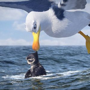 Fotoğraf Hızlı ve Tüylü