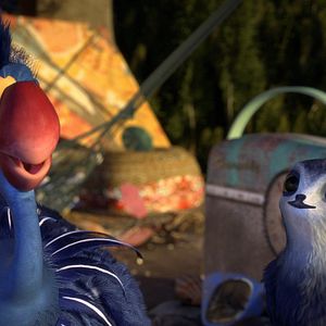 Fotoğraf Hızlı ve Tüylü