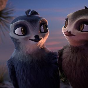 Fotoğraf Hızlı ve Tüylü