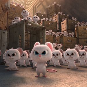 Fotoğraf Fındık İşi 2