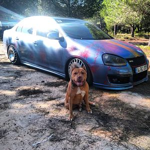 Fotoğraf Uçurum - Asla Arkana Bakma