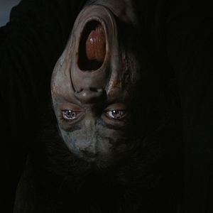 Fotoğraf Üç Harfliler: Adak