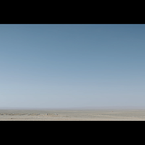 Fotoğraf Sheikh Jackson