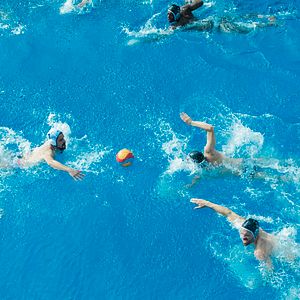 Fotoğraf Les Crevettes pailletées