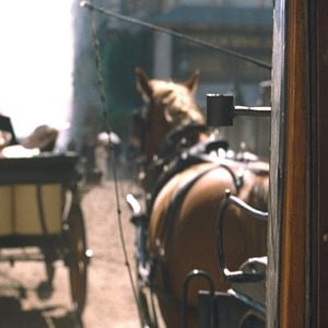 Fotoğraf Juli Jakab