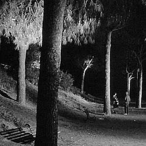 Fotoğraf Korkunç Orakçı