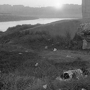 Fotoğraf Korkunç Orakçı