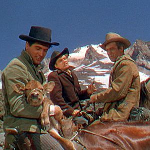 Fotoğraf Arthur Kennedy