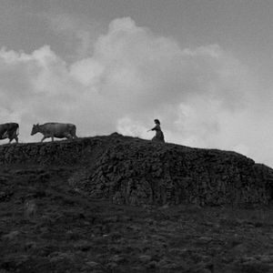 Fotoğraf Einitréð