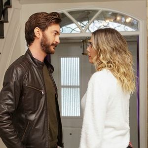 Fotoğraf Yasak Elma