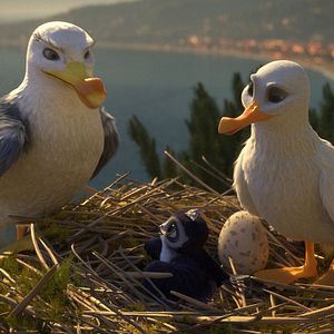 Fotoğraf Hızlı ve Tüylü