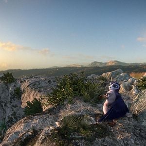 Fotoğraf Hızlı ve Tüylü