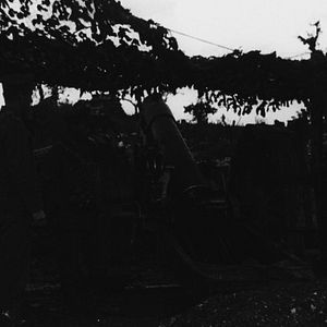 Fotoğraf They Shall Not Grow Old