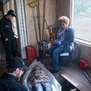 Fotoğraf Vanessa Ferlito