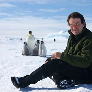 Fotoğraf Alastair Fothergill