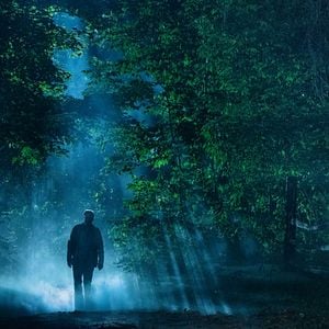 Fotoğraf Hayvan Mezarlığı