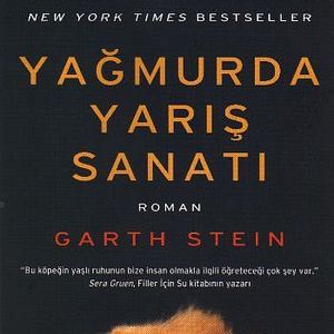 Fotoğraf Enzo: Yağmurda Yarış Sanatı