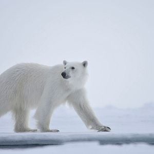 Fotoğraf Gezegenimiz