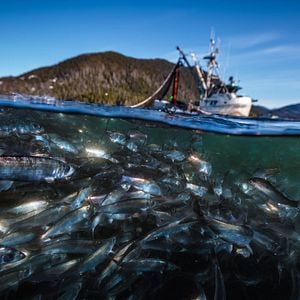 Fotoğraf Gezegenimiz