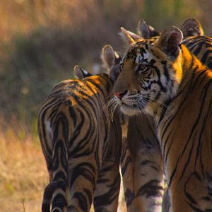 Fotoğraf Gezegenimiz