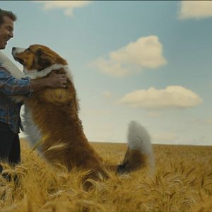 Fotoğraf Dennis Quaid