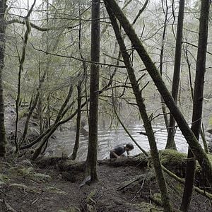 Fotoğraf Red Island