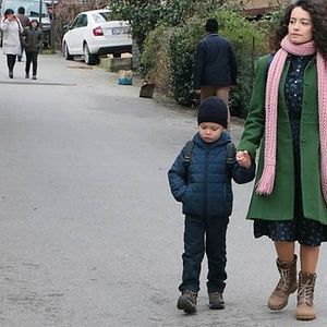 Fotoğraf Yaralı Kuşlar