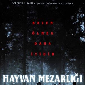 Fotoğraf Hayvan Mezarlığı