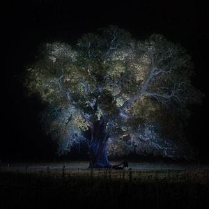 Fotoğraf Jessica Forever