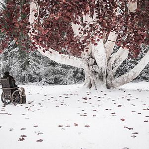 Fotoğraf Isaac Hempstead Wright