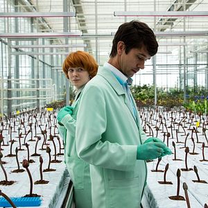 Fotoğraf Küçük Joe