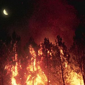 Fotoğraf O que arde