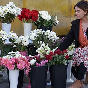 Fotoğraf İkizler Memo - Can