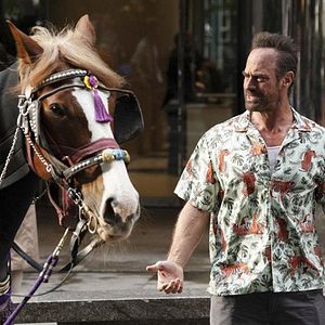Fotoğraf Christopher Meloni