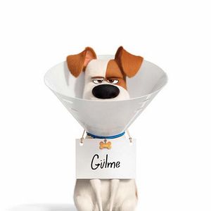 Fotoğraf Evcil Hayvanların Gizli Yaşamı 2