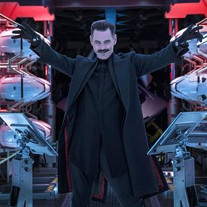 Fotoğraf Kirpi Sonic