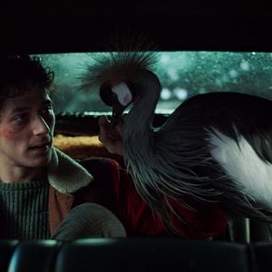 Fotoğraf Noah Saavedra