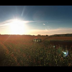 Fotoğraf A Harvest Wedding