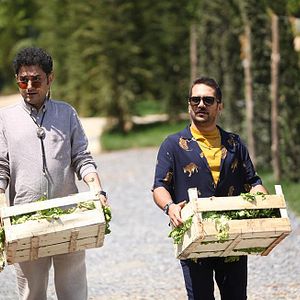 Fotoğraf Erkenci Kuş