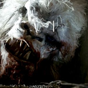 Fotoğraf The Head Hunter