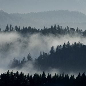 Fotoğraf The Head Hunter