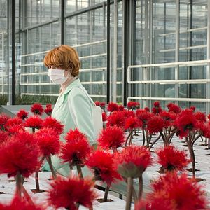 Fotoğraf Küçük Joe