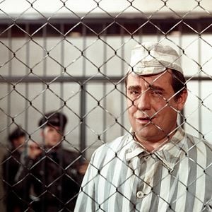 Fotoğraf A Tanú (The Witness)